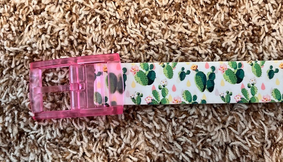 C4 cactus belt