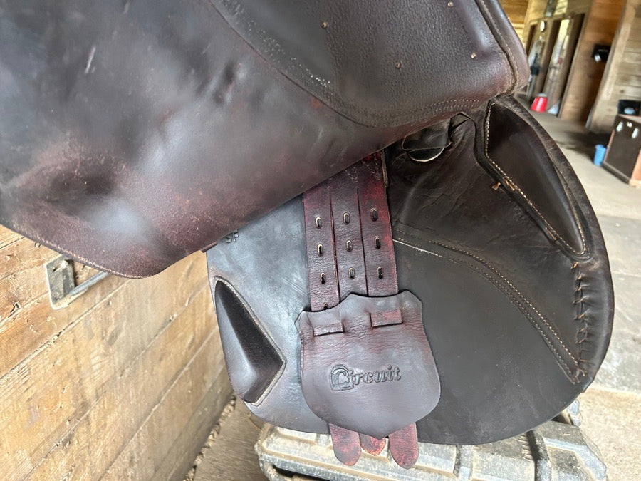 Used Circuit Saddle