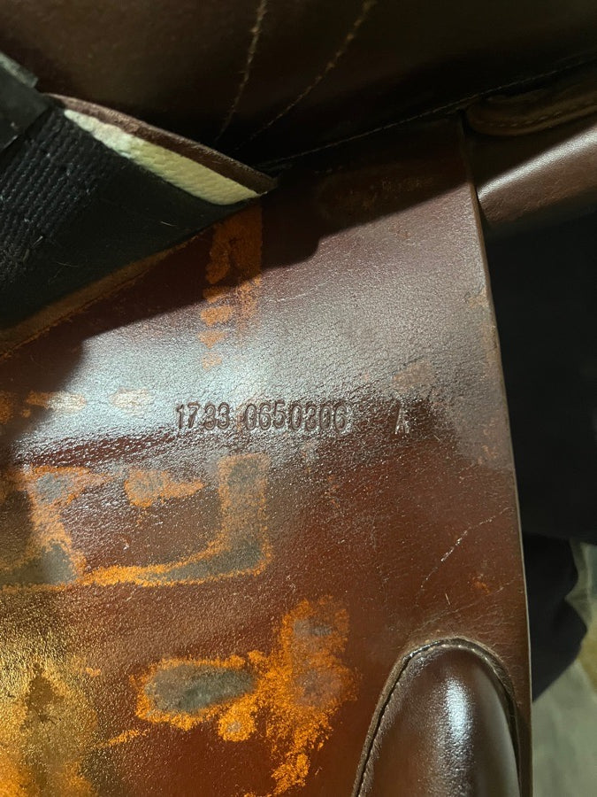 17” Prestige Meredith