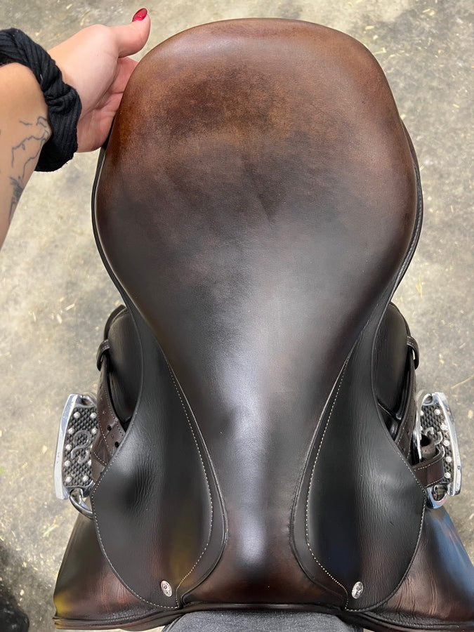 PRICE DROP - 2019 17” Voltaire Palm Beach  Pro panels
