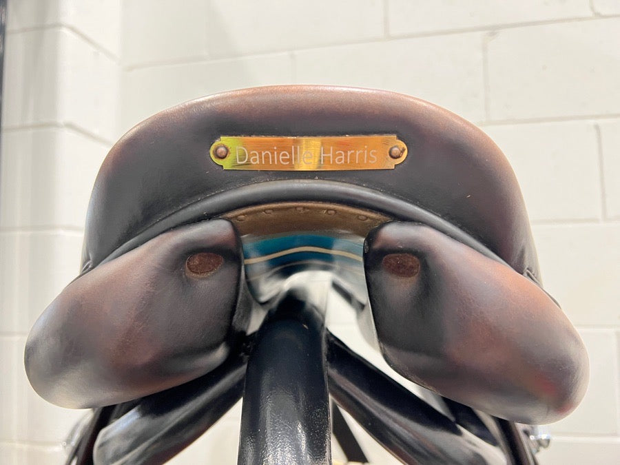 PRICE DROP - 2019 17” Voltaire Palm Beach  Pro panels