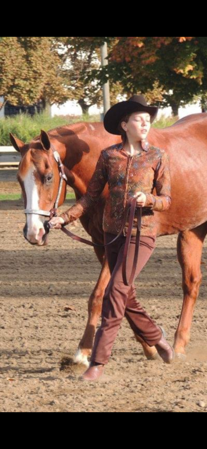 Other Showmanship/ horsemanship outfit (6)