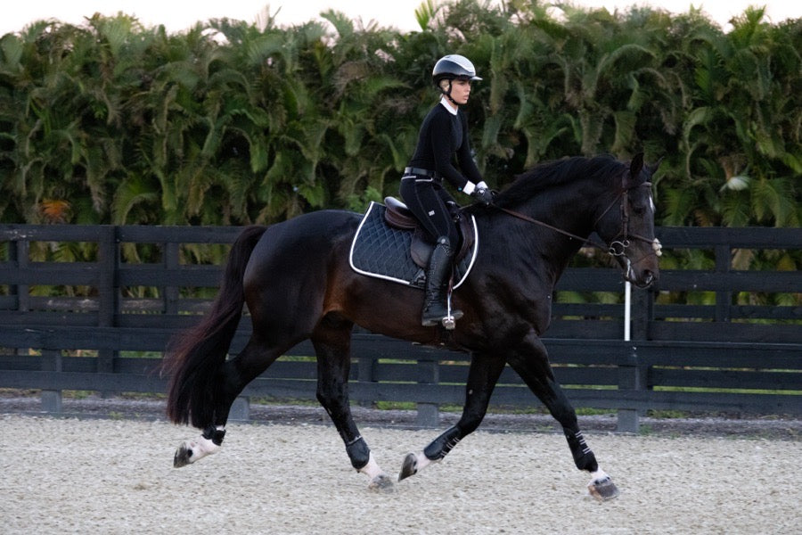 Other San Eligius Saddle Pad (4)