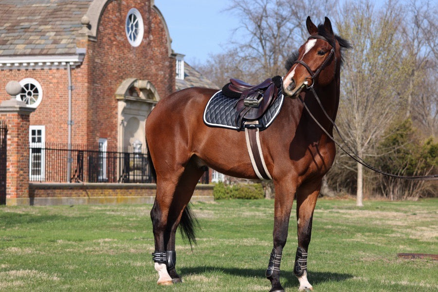 Other San Eligius Saddle Pad (3)