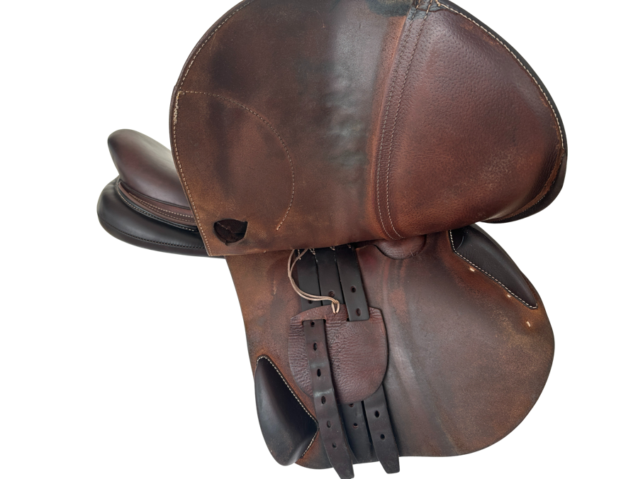 ARABIAN SADDLE COMPANY ANTARES CONNEXION 17” 1A 2022 (3)