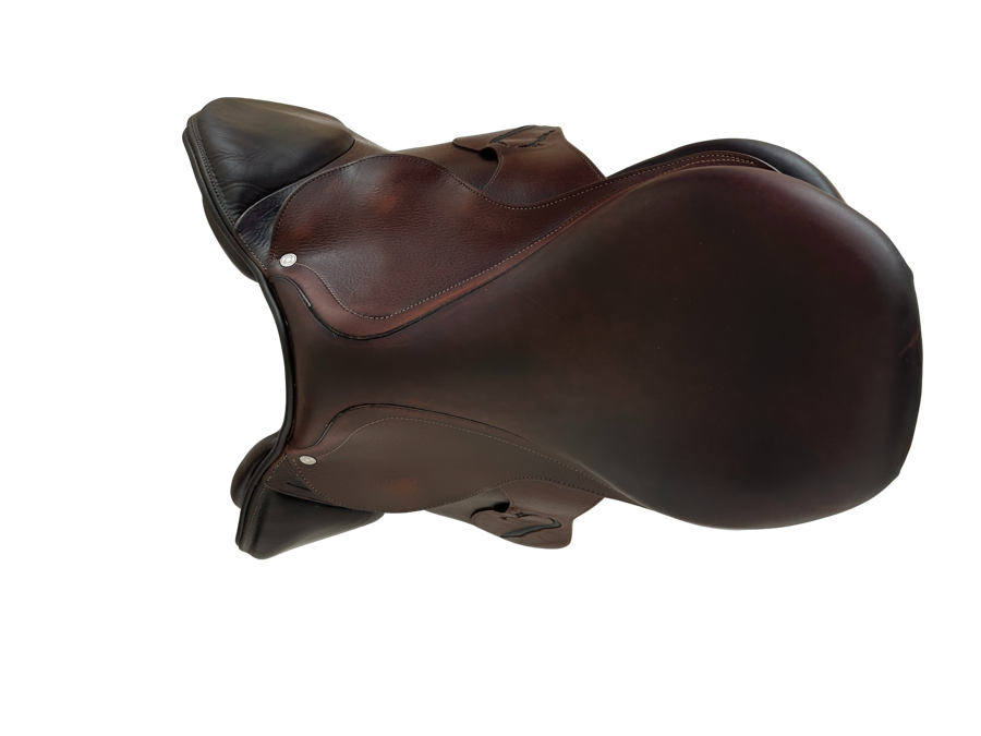 ARABIAN SADDLE COMPANY ANTARES CONNEXION 17” 1A 2022 (6)