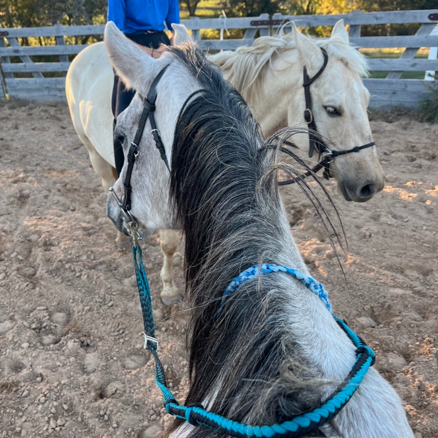 Custom neckropes!