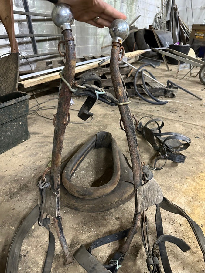 Nylon Draft Horse Harnesses