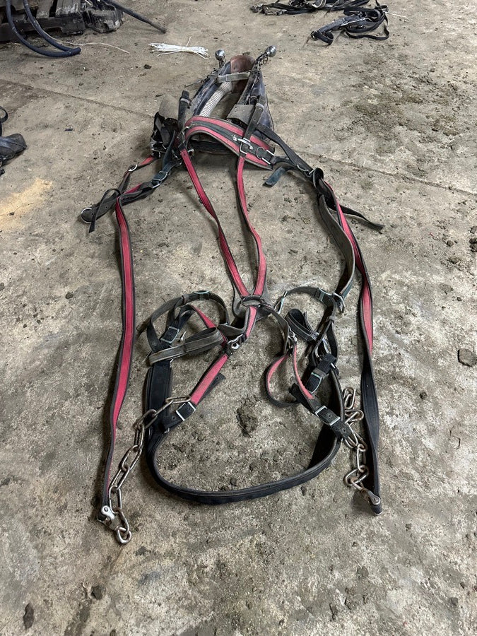 Nylon Draft Horse Harnesses