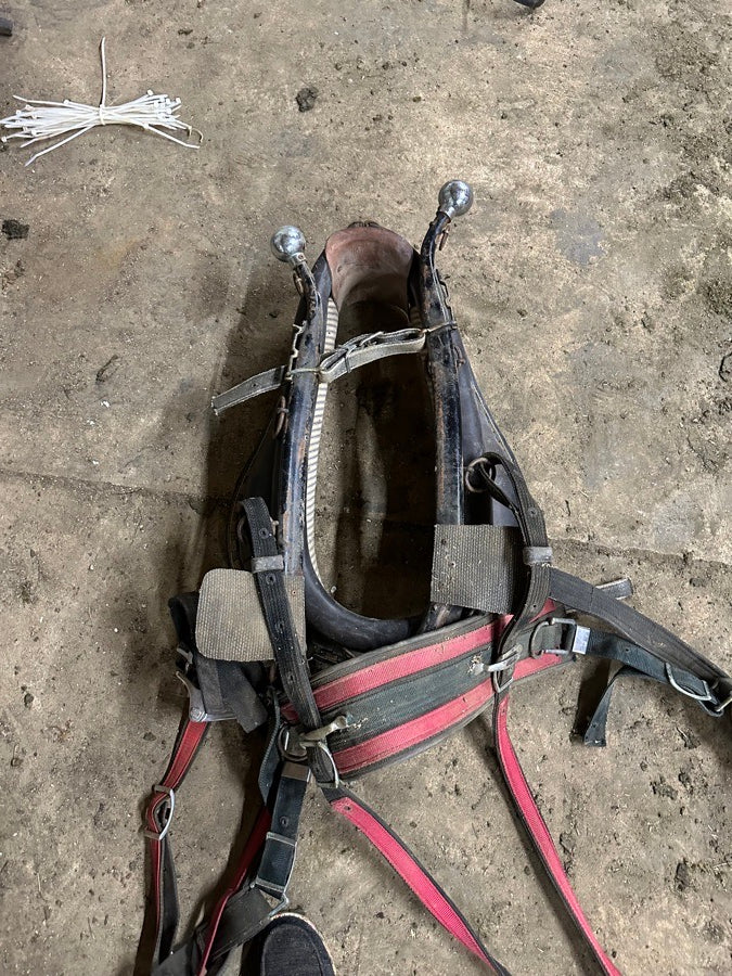 Nylon Draft Horse Harnesses