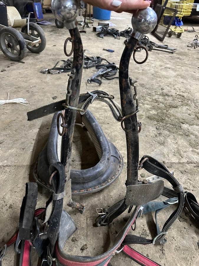 Nylon Draft Horse Harnesses