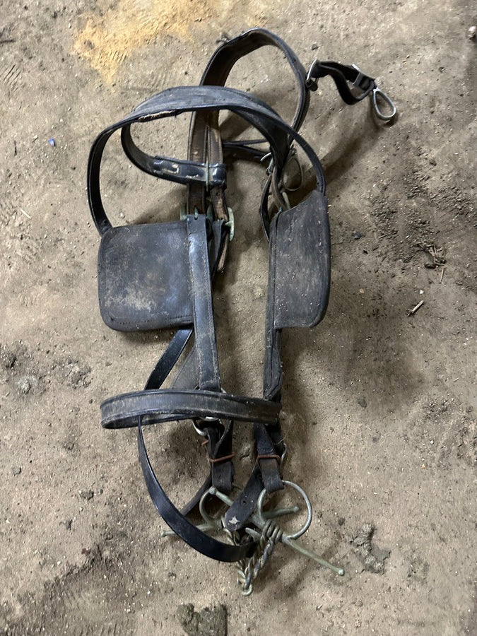 Nylon Draft Horse Harnesses
