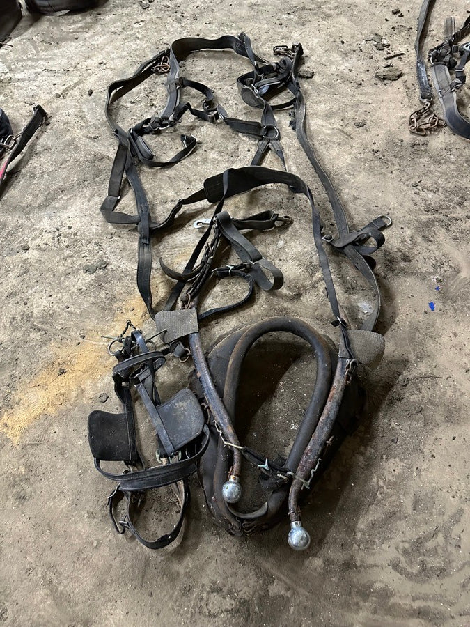 Nylon Draft Horse Harnesses
