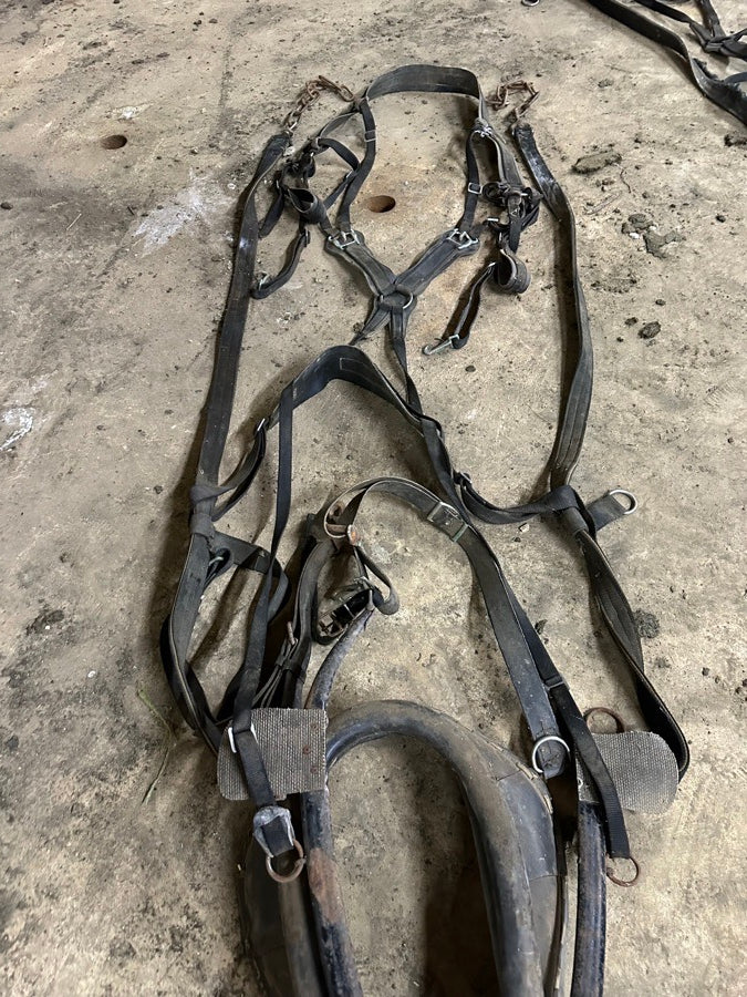 Nylon Draft Horse Harnesses