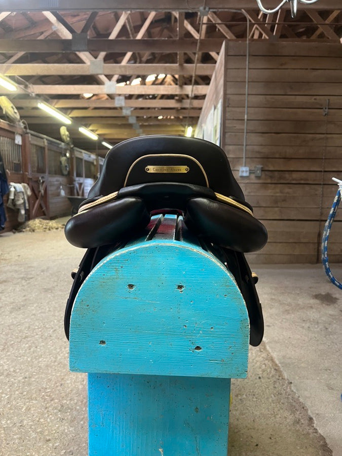 CWD 2019 17.5 CWD SE02 (3)