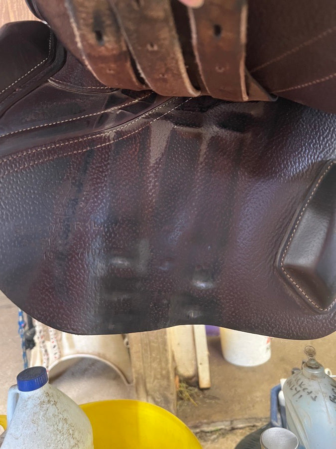 CWD 2019 17.5 CWD SE02 (8)