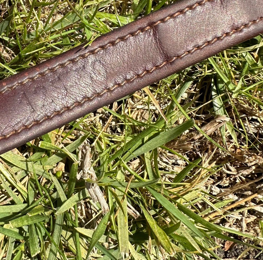 CWD leathers size 50