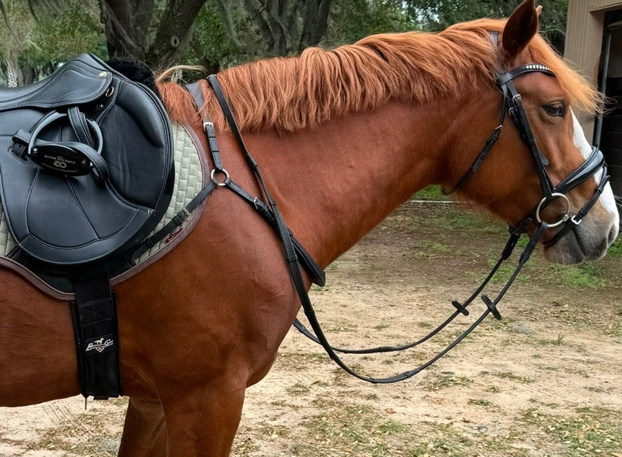 Correct Connect Free Motion Breastplate (Horse))