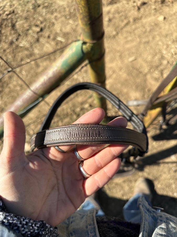 Showmark Figure 8 bridle