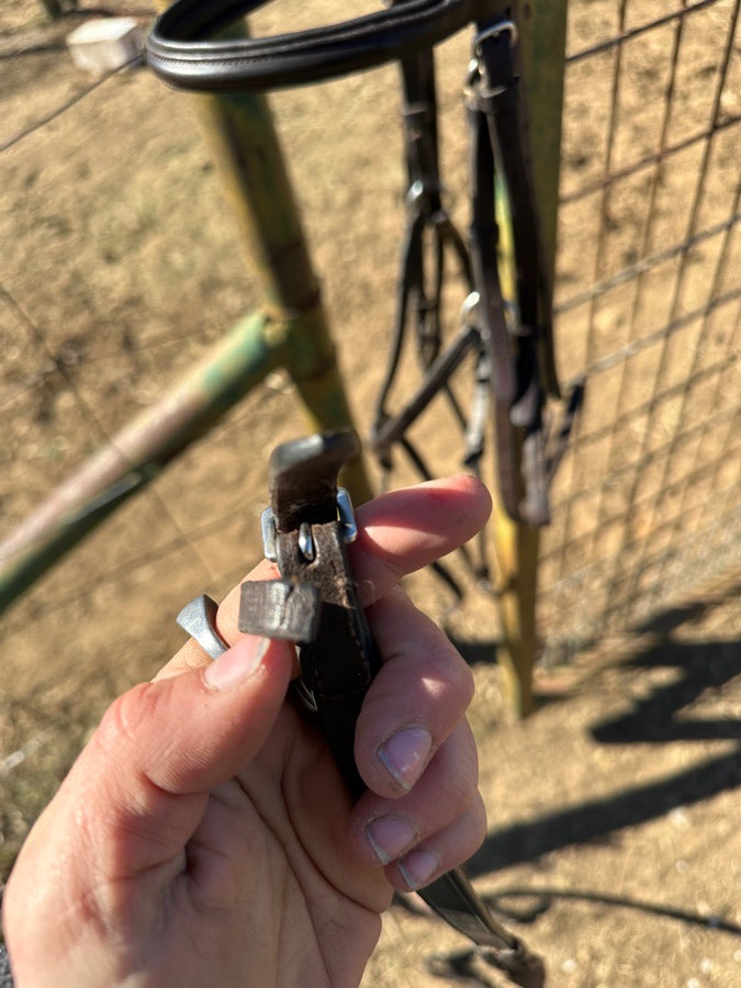 Showmark Figure 8 bridle