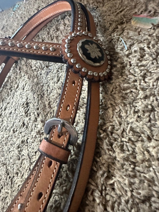 Head stall with bit