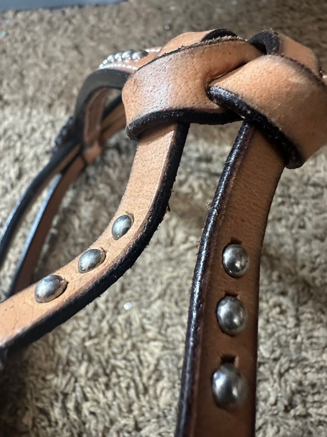 Head stall with bit