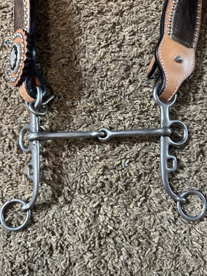 Head stall with bit
