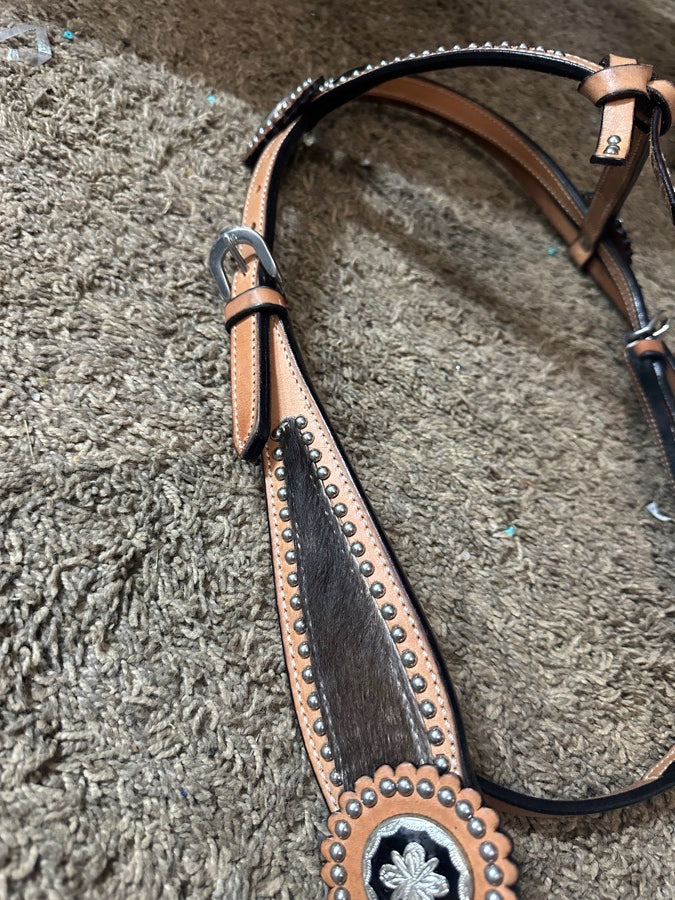 Head stall with bit