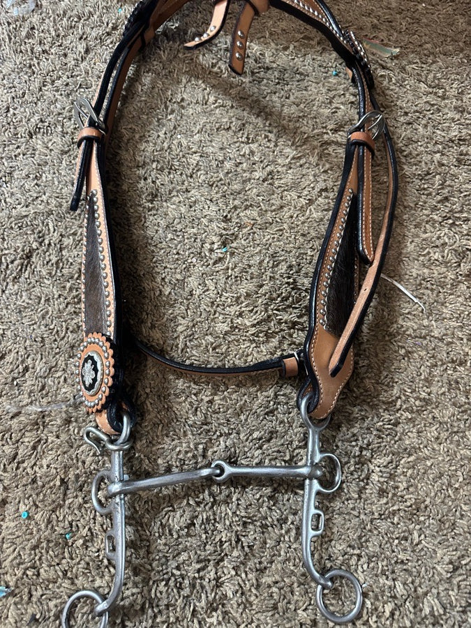Head stall with bit