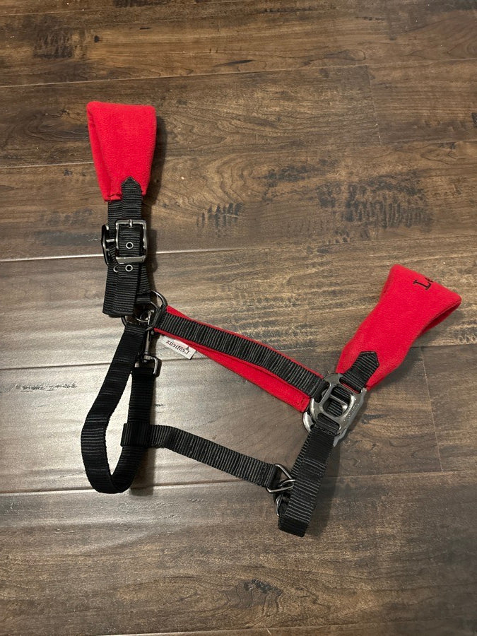 Chili Red LeMieux Halter w/ matching lead rope