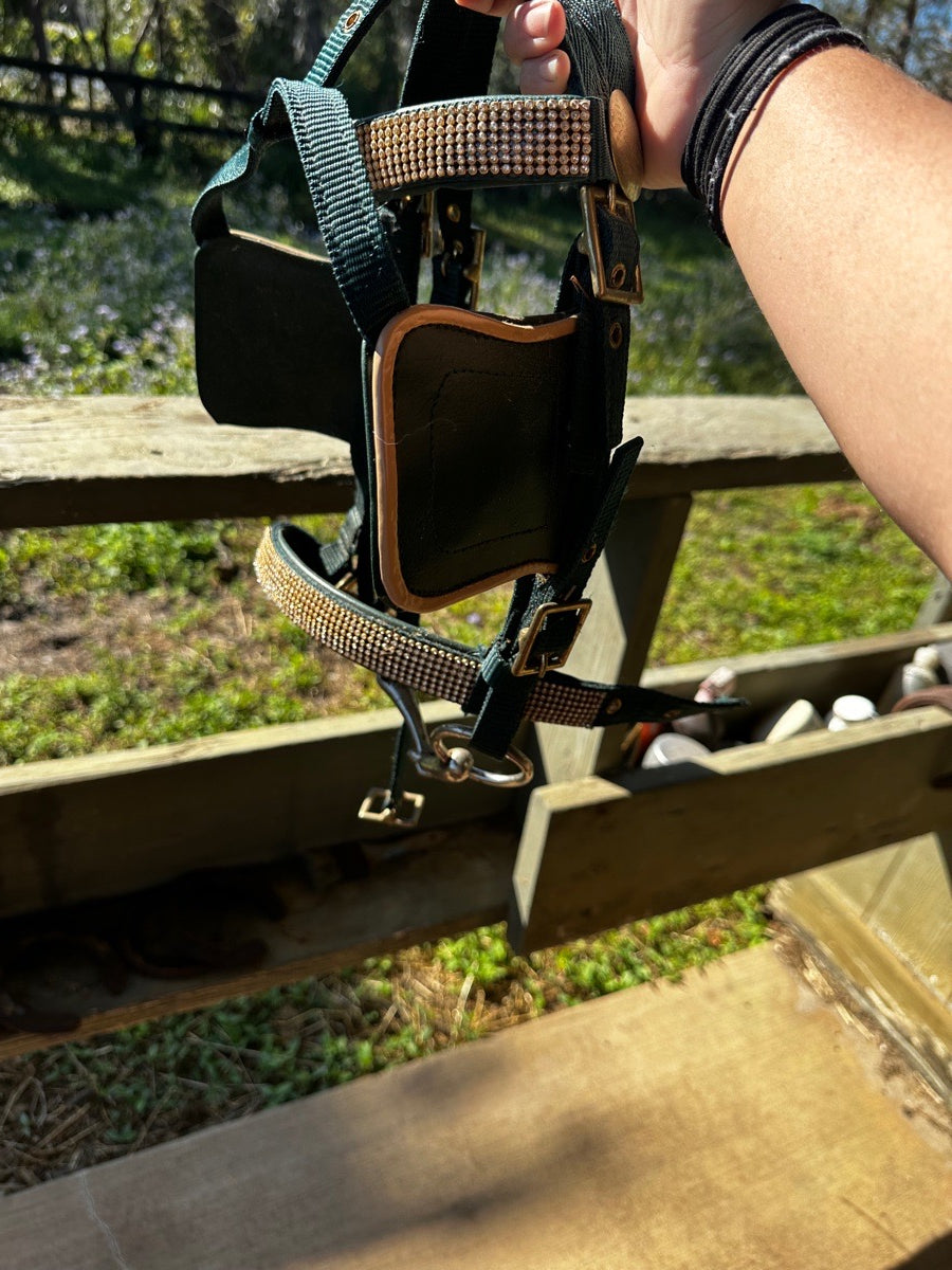 Mini harness