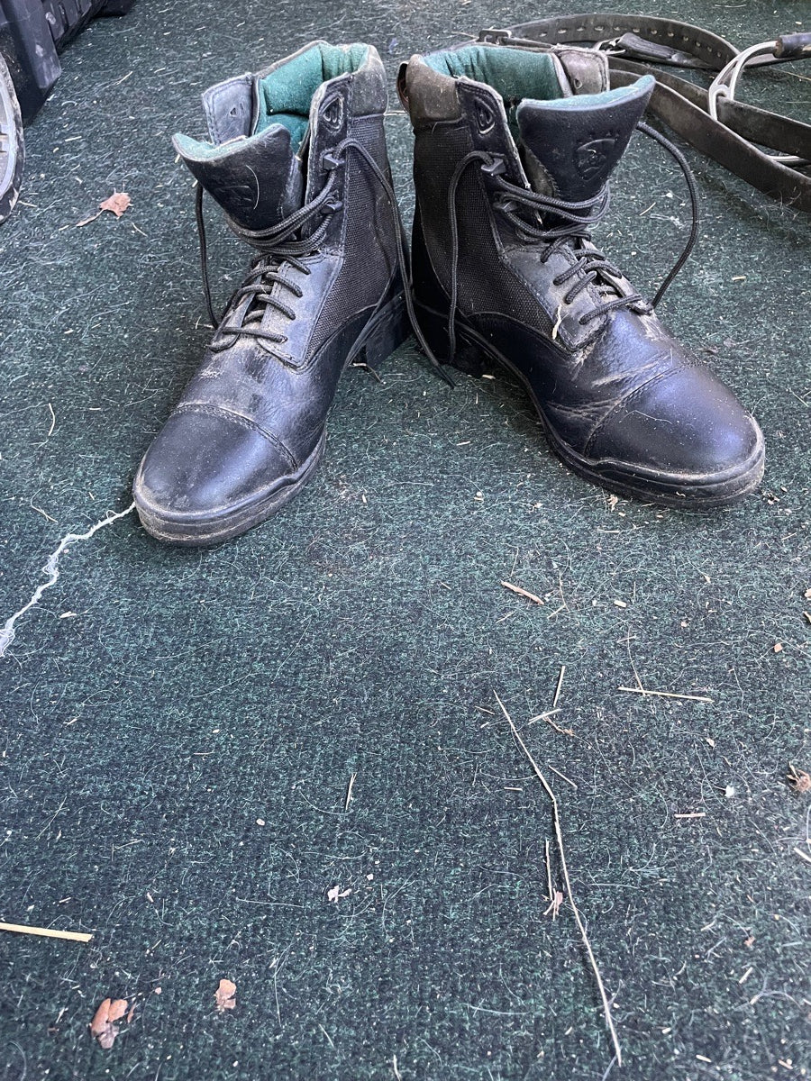 Ariat winter paddock boots