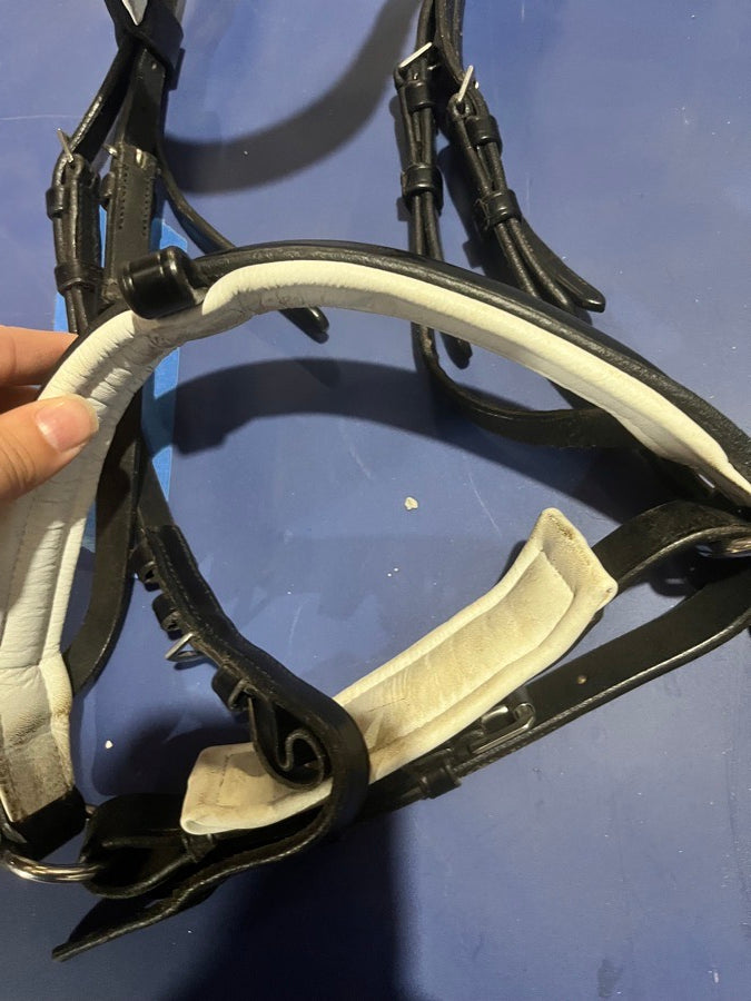 Welfleet Anatomical Harlow Dressage Bridle COB