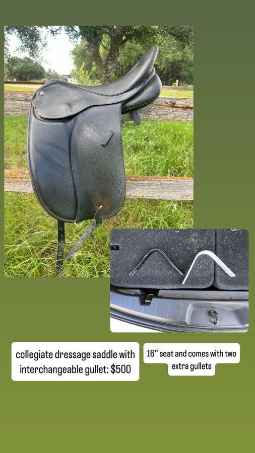COLLEGIATE Collegiate dressage saddle