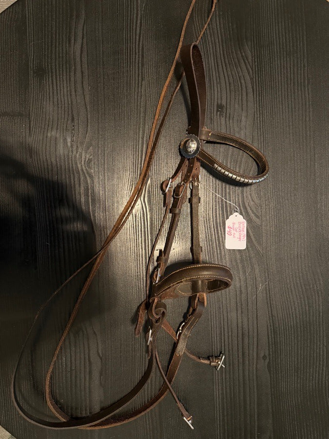 Vintage Bridle and Reigns Set with Silver Conchos