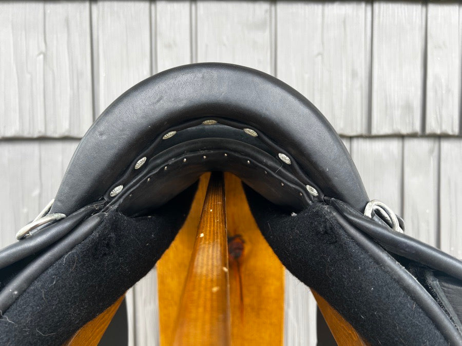 Other 17” Arabian Saddle Company Sierra Endurance (4)