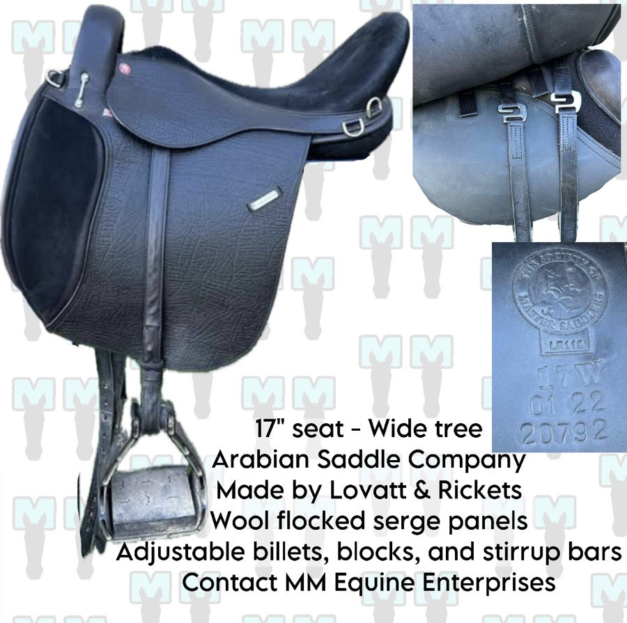 Other 17” Arabian Saddle Company Sierra Endurance