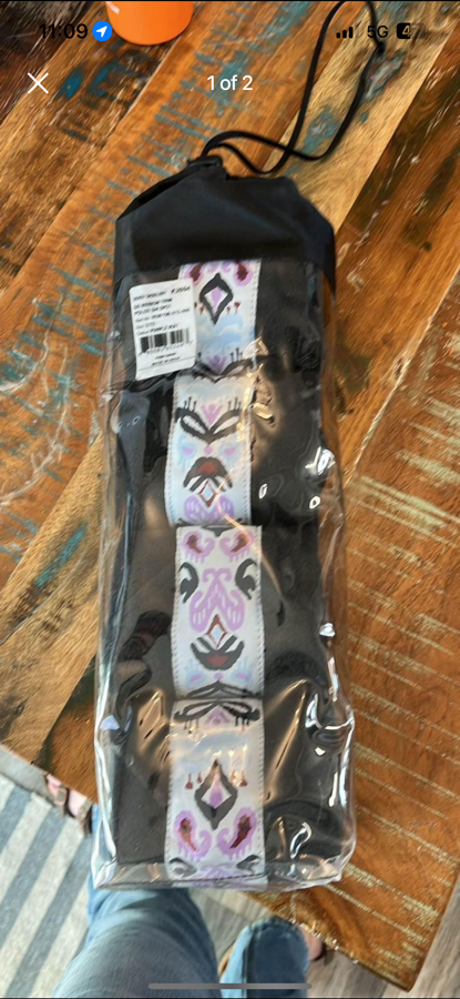 Dover horse polo raps