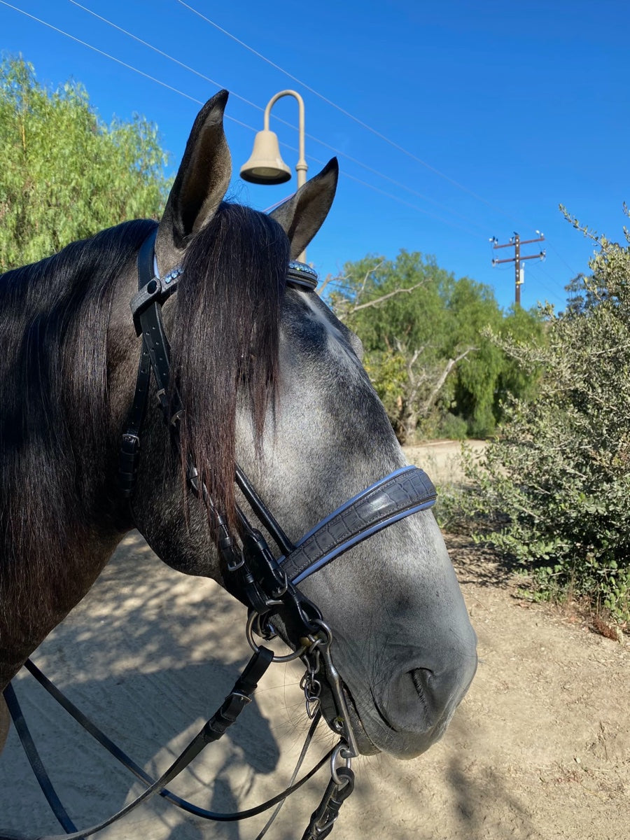Products The Charly Grey Croc Leather Double Bridle