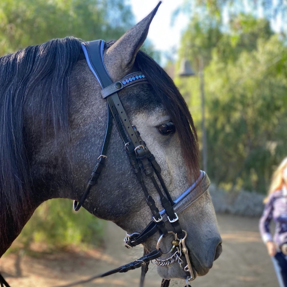 Products The Charly Grey Croc Leather Double Bridle