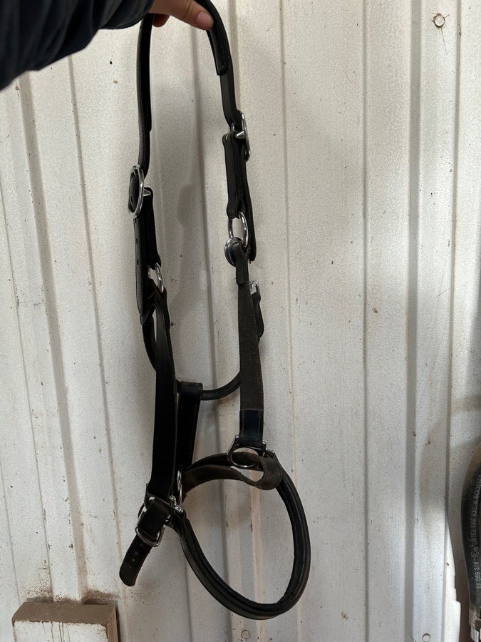Black Leather Halter