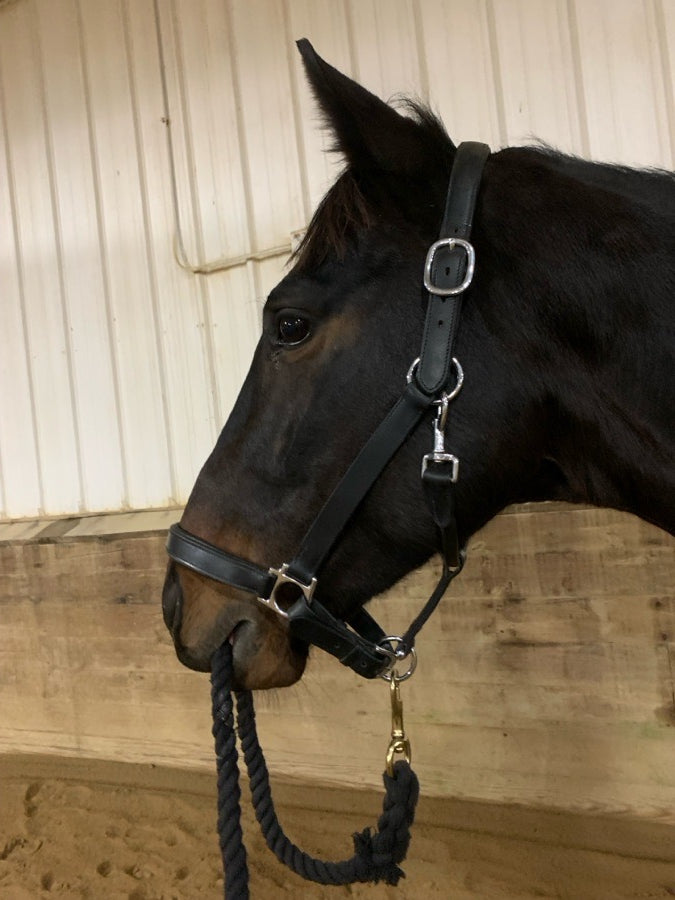 Black Leather Halter