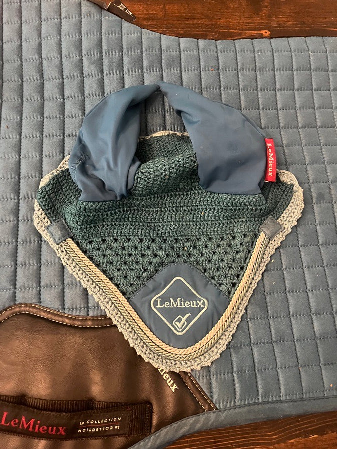 LEMIEUX Lemieux set in marine (2)