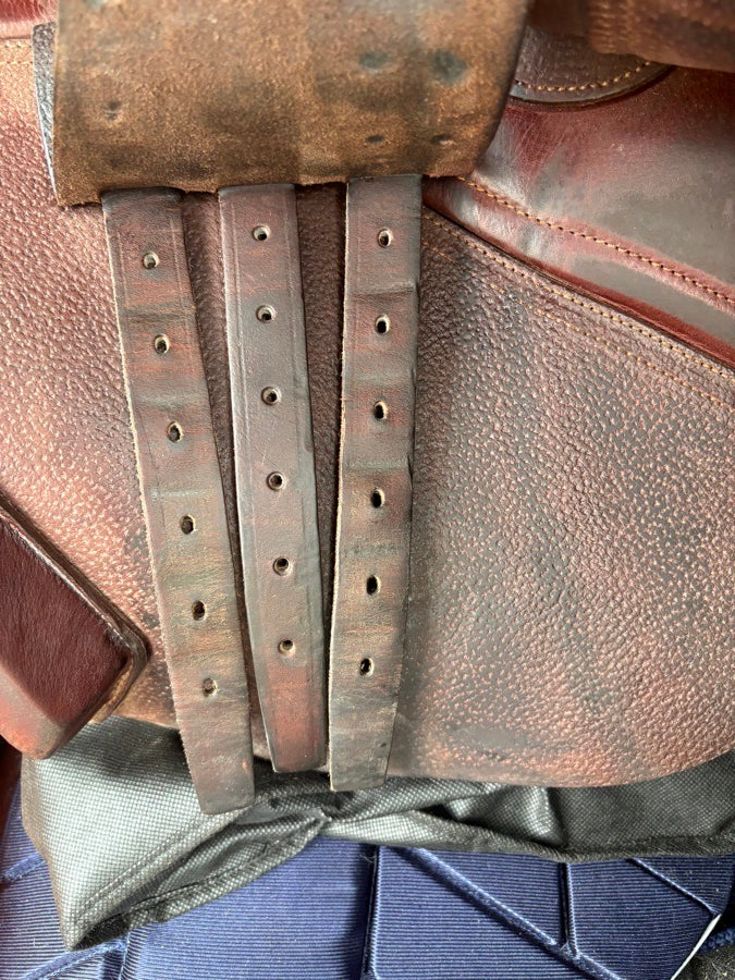 CWD SE01 18.5in