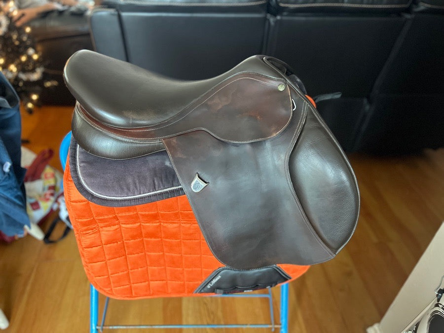 Bates Caprilli Close Contact 18”