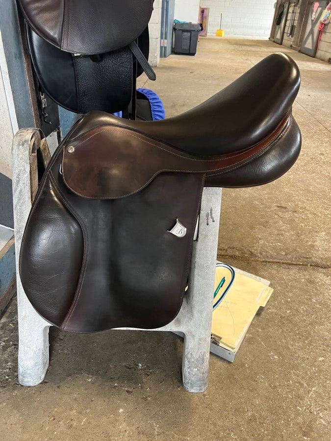 Bates Caprilli Close Contact 18”