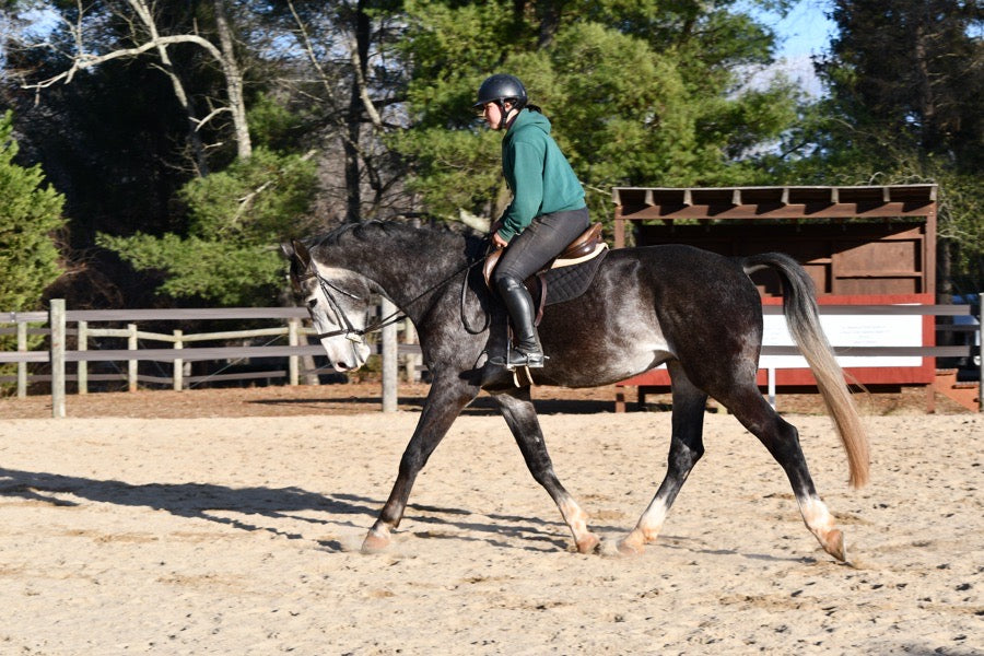 Young Hunter Prospect
