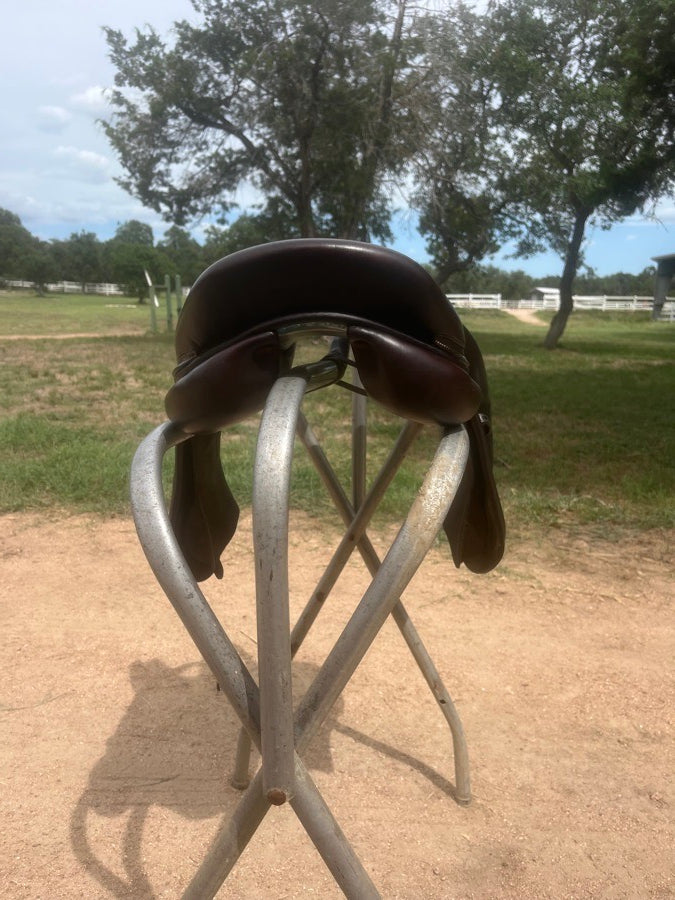 17” 3A Voltaire Palm Beach Buffalo