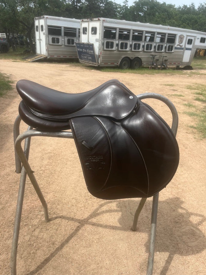 17” 3A Voltaire Palm Beach Buffalo
