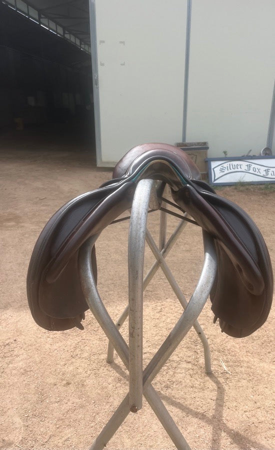 17” 3A Voltaire Palm Beach Buffalo